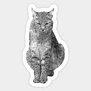 Lynx Sticker